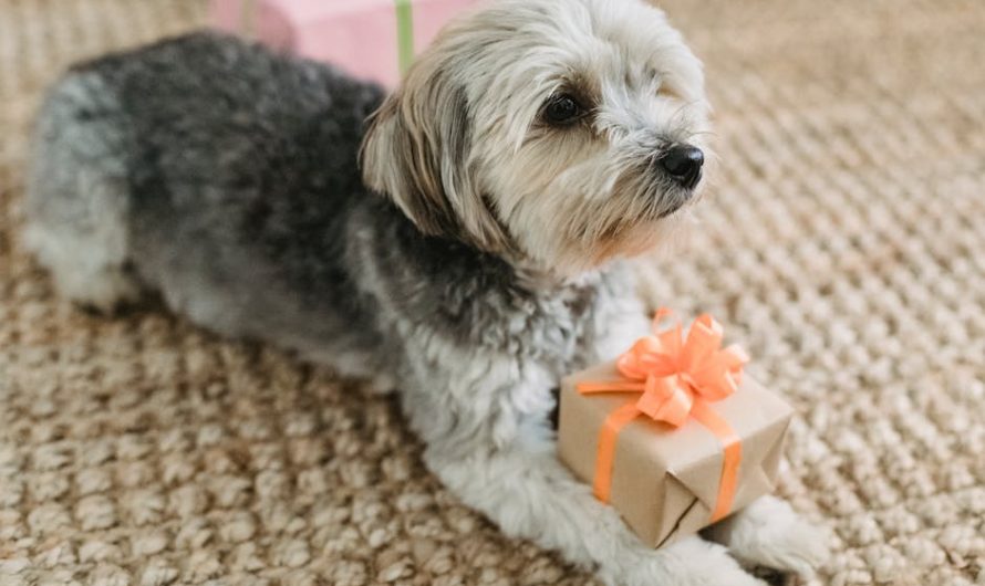 Купить лучший подарок мужчине